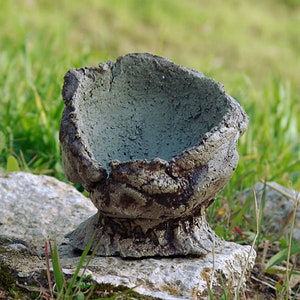 Pot for caudex plant