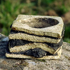 Pot for caudex plant
