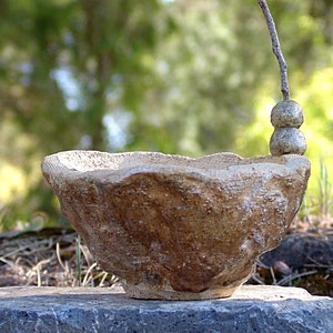 Glazed beige stoneware pot for climbing caudex plant