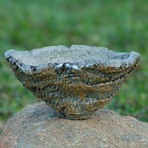 Pot for caudex plant