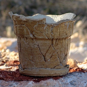 Pot for caudex plant