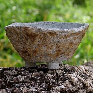 Maceta en gres para planta caudex
