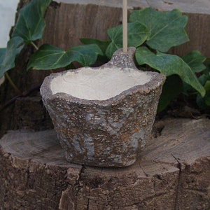 Vaso de grés para planta caudex