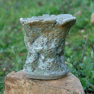 Vaso para planta caudex