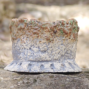 Vaso de grés branco esmaltado para planta caudex