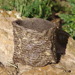 Maceta estilo wabi sabi en gres esmaltado para plantas caudex y suculentas