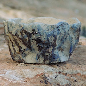 Glazed stoneware pot for caudex plants