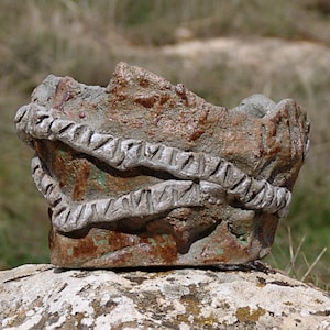 Stoneware pot for caudex plant