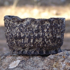 Puede incluir: Una pequeña maceta de cerámica gris oscuro con una superficie rugosa y texturizada. La maceta tiene una base ancha y redondeada y un borde ligeramente acampanado.