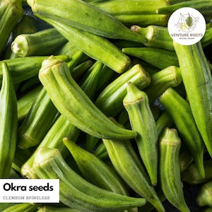 Okra seeds - Clemson Spineless – Seeds, Non-GMO, Open - Pollinated, Annual