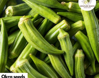Okra Seeds – Clemson Spineless | Annual, Non-GMO, Open-Pollinated