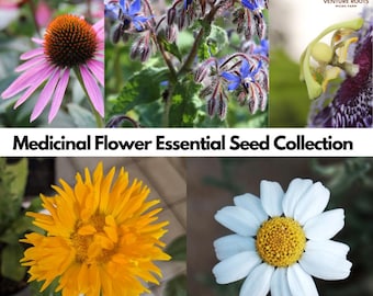 Medicinal Flower Essentials Seed Collection| Borage, Calendula, Echinacea, Feverfew, Passionflower