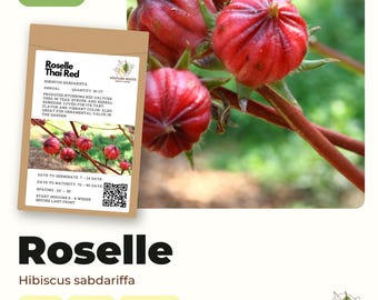 May include: A seed packet labeled Roselle Thai Red Hibiscus sabdariffa featuring a photograph of vibrant red calyces on a plant. The packet includes text details, a QR code, and the Venture Roots logo against a natural background.