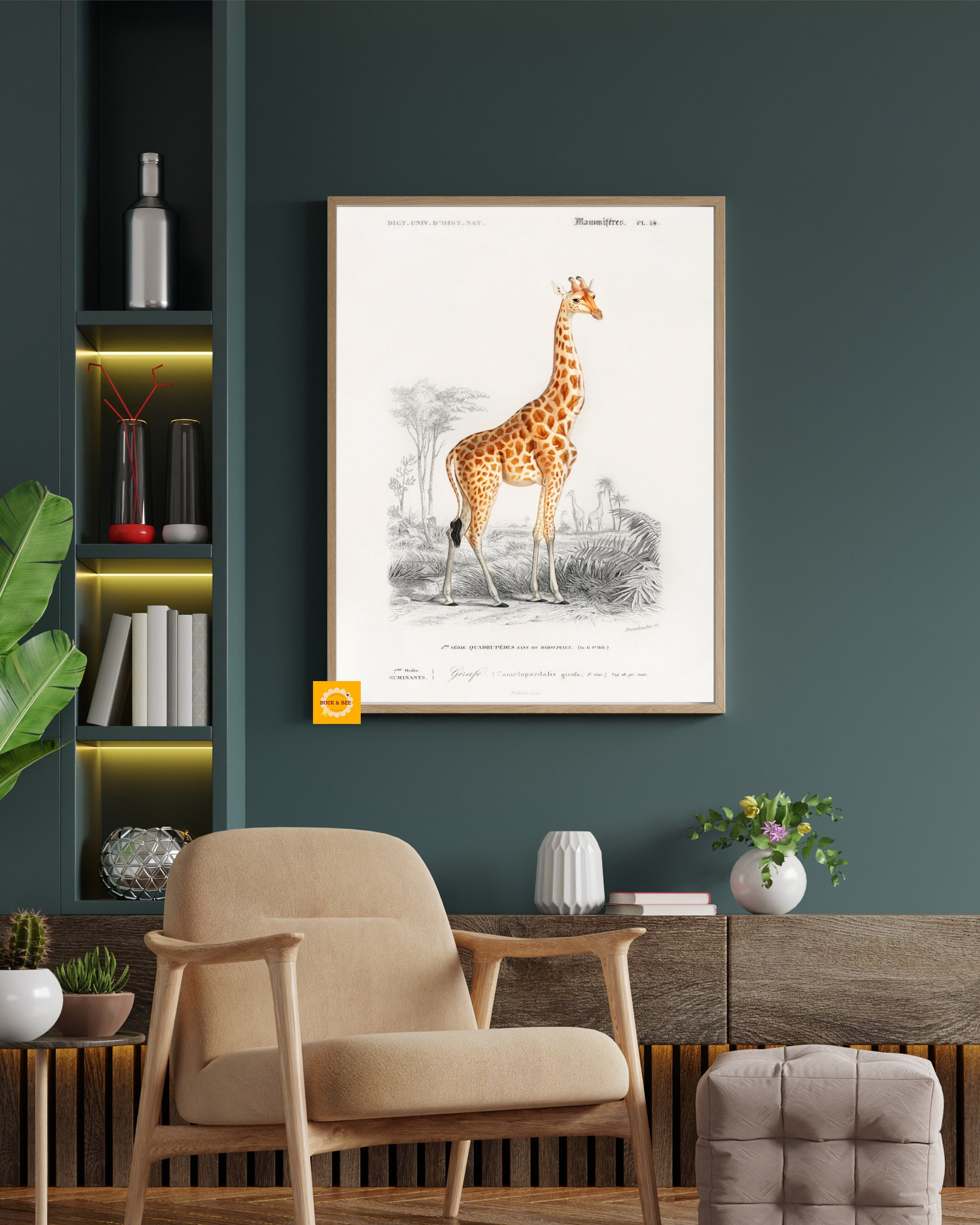 Printable Giraffe Vintage Illustration Contemporary Art - Etsy UK