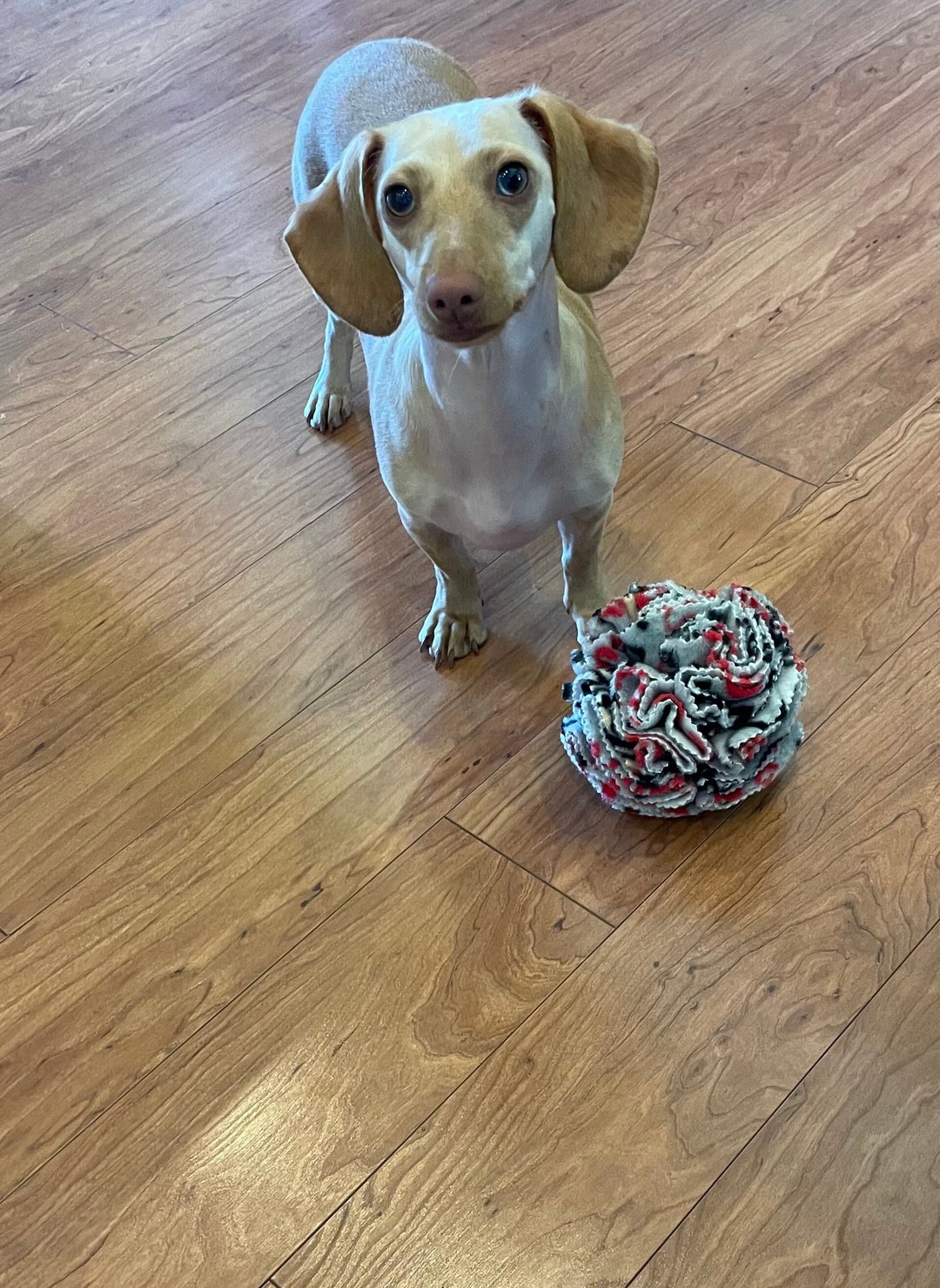 SMALL SIZE Snuffle Balls for Pets Snuffle Balls for Dogs Snuffle Balls