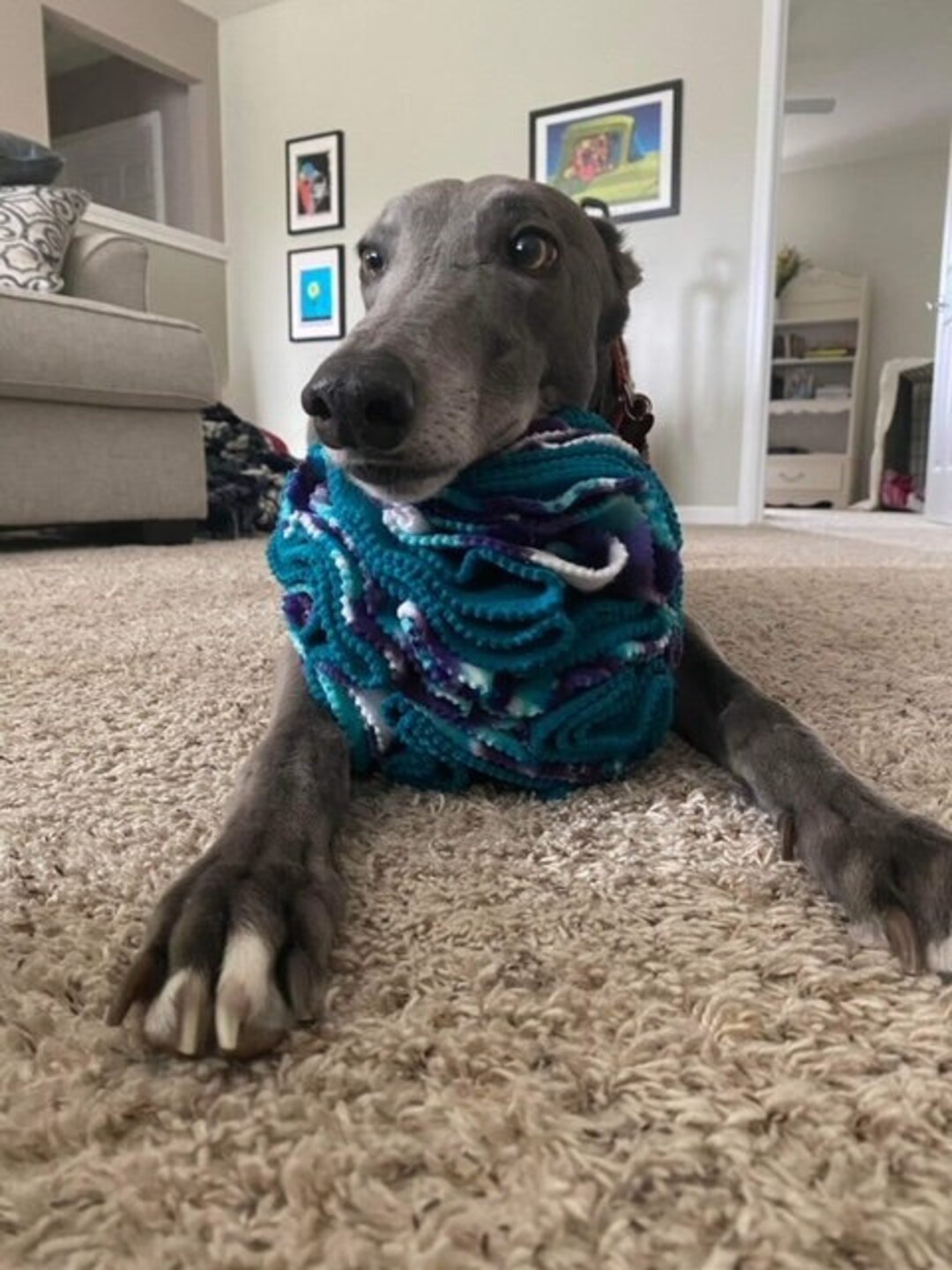 LARGE SIZE Snuffle Balls for Pets Snuffle Balls for Dogs Snuffle Balls