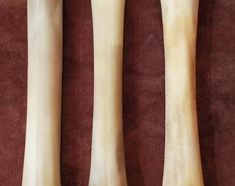 Elk Leg Bone; Front