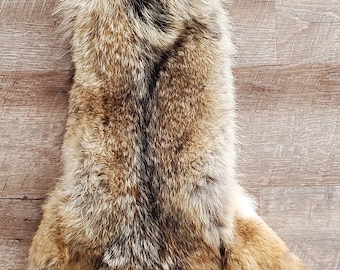 Coyote pelt, soft tanned, no feet
