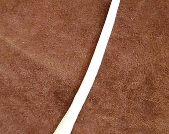 Authentic Coyote Leg Bone; Ulna