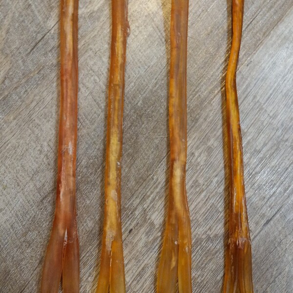 Sinew, Elk. From front and rear legs. 10"-15" in length