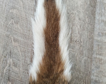 Può includere: Un pezzo di pelliccia animale con una striscia bianca centrale affiancata da pelliccia marrone. La pelliccia è lunga e morbida, con una consistenza naturale. La pelliccia è probabilmente di un piccolo mammifero, come un coniglio o uno scoiattolo.