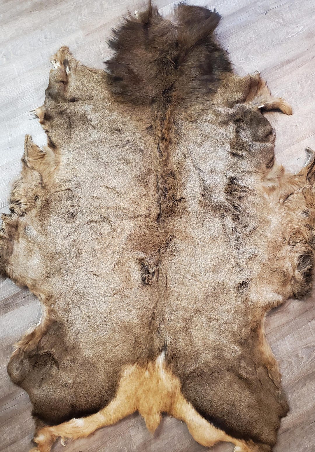 Tanned Wild Elk Hide - Etsy