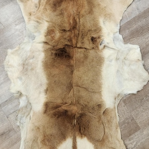 May include: A natural animal hide featuring a central strip of brown fur flanked by cream-colored fur on the sides. The pelt has an irregular, organic shape with jagged edges and a visible texture, displaying the Aonar Productions watermark at the bottom.
