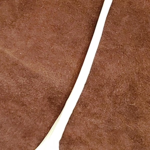 Authentic coyote leg bone; ulna