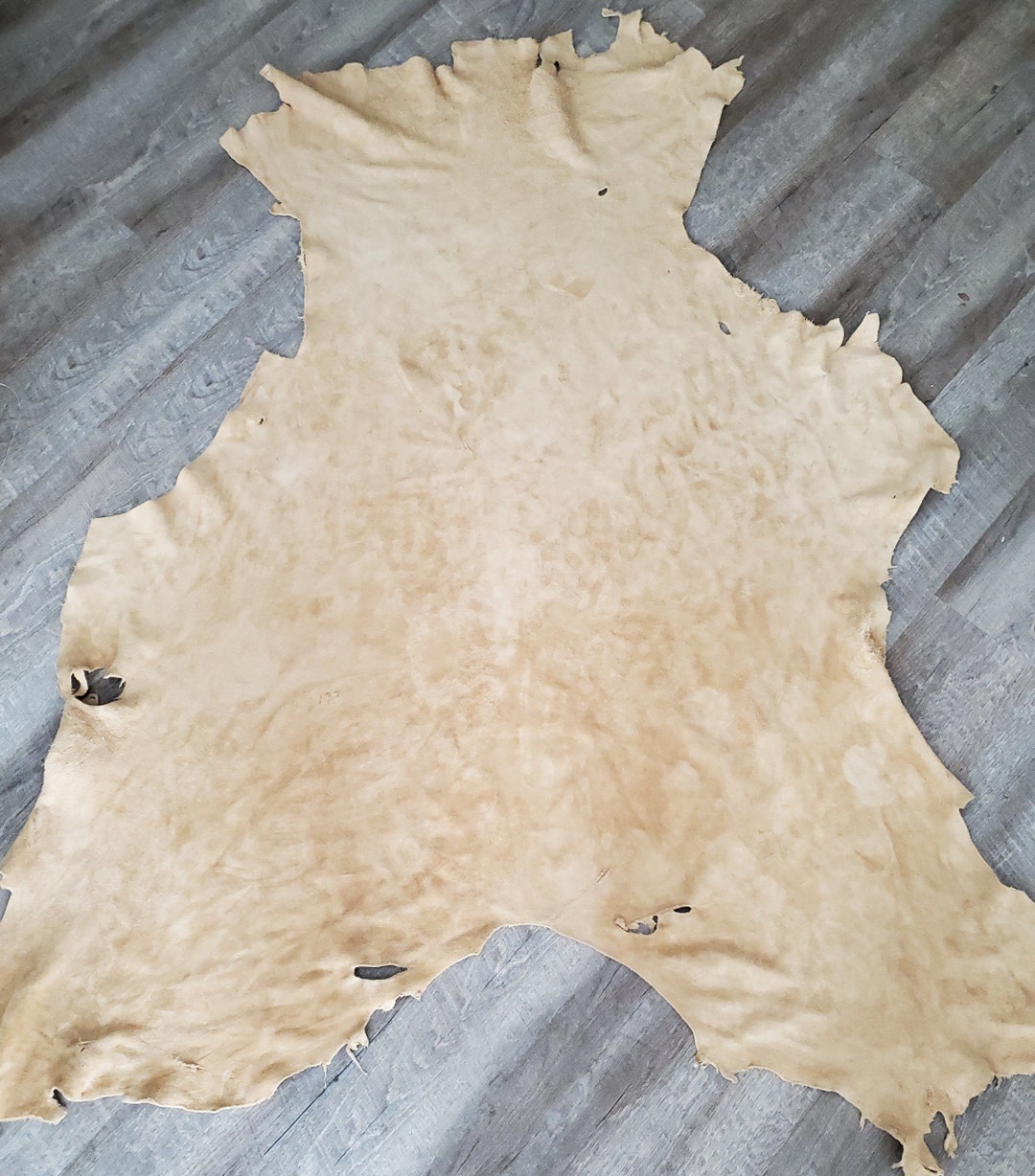 Elk Buckskin Leather Hide Etsy UK