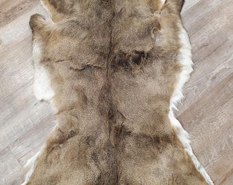 Whitetail Deer Hide