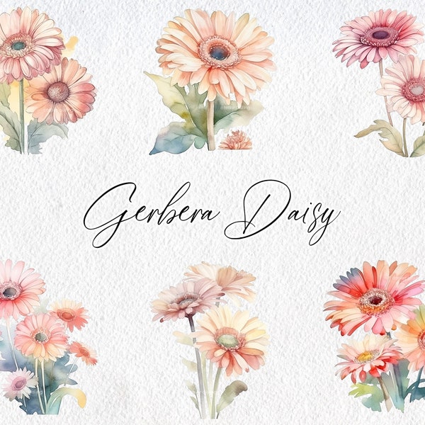 Cute Watercolor Gerberas Daisy Scenes, Commercial Use Clipart, Flower Clipart, Spring, Summer, Floral, Scrapbook, Gerbera Flowers, Daisy
