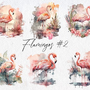 Cute Watercolor Flamingo Scenes, Volume 2, Commercial Use Clipart, Bird Clipart, Scrapbooking, Summer, Tropical, Vacation, Flamboyance