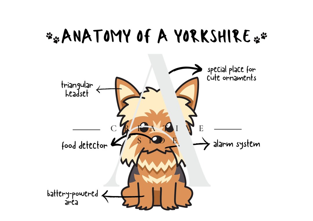 Anatomy of a Yorkshire Funny Printable Art EN and PT Etsy