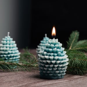 Pine Cone Christmas Candle/ Set of 2/ Soy Wax