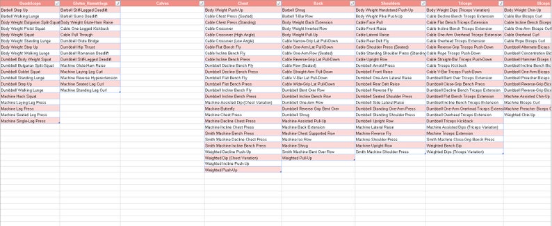 Pink Workout Planner Excel Template Pink Fitness Workout - Etsy