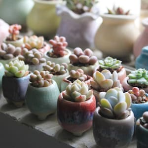 Handmade Small Plant Pots,Succulent planter, tiny ceramic planter, small pot for flowers,round planter,ring bowl,Cute Planter