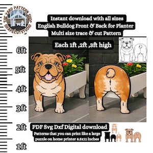 May include: A digital download pattern for an English Bulldog planter, featuring front and back views. The design is available in multiple sizes, with each piece up to 3 feet high. The pattern is available in PDF, SVG, and DXF formats.