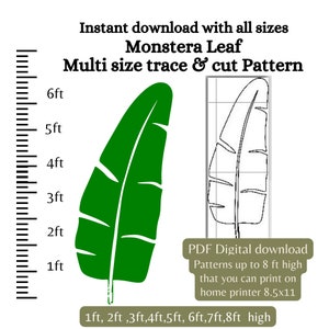 May include: Printable pattern for a Monstera leaf in multiple sizes, from 1 to 8 feet high. The image shows a green leaf with a white outline and a ruler with measurements in feet.