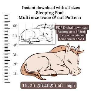 Op de afbeelding: Digitaal patroon van een slapend veulen, verkrijgbaar in meerdere maten. De afbeelding toont een gedetailleerde illustratie van het veulen, met tekst die aangeeft dat het tot 183 cm hoog kan worden afgedrukt. Het patroon is ontworpen om te traceren en te snijden.