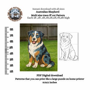 Op de afbeelding: Een kleurrijke houten uitsparing van een Australische herdershond die op gras zit. De afbeelding bevat een zwart-wit lijntekening van de hond en de tekst "Multi size trace & cut Pattern". De hond is ongeveer 244 cm hoog.