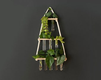 Wooden plant propagation station