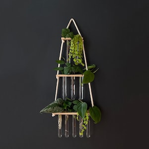 Hydroponics gift for plant lovers