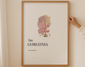 Coral Wall Art, Neutral Wall Art, Art and Collectibles, Wall Art Prints, Nautical Bathroom, Original Painting, Pink Coral, Aquatic Plants