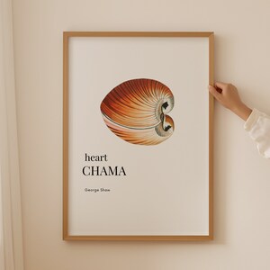 Könnte beinhalten: Ein gerahmter Druck eines herzförmigen Muschels mit einem braunen, orangefarbenen und weißen Farbschema. Der Text "heart CHAMA" und "George Shaw" ist unter der Muschel gedruckt.