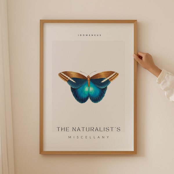 Naturalist Poster - Etsy