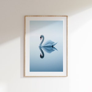 Poster della serenità del cigno, arredamento della casa sulla spiaggia, arte della parete neutra calmante, stampa di cigni oceanici extra large, arredamento nautico minimalista, arte della parete blu