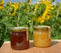 1x 500 g, Franconian honey from the country beekeeping, light/dark