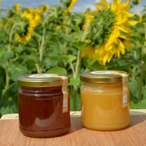 1x 500 g, Franconian honey from the country beekeeping, light/dark