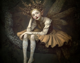 SIGNED LIMITED EDITION giclee art print - The Treetop Fairy