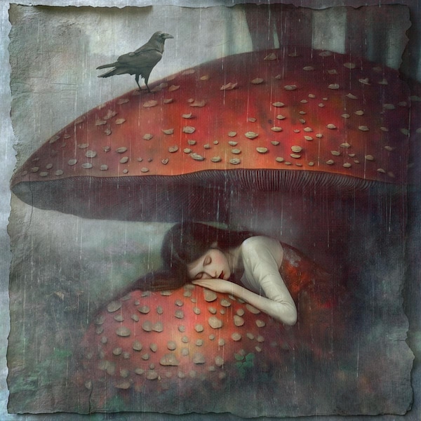 SIGNED NUMBERED GICLEE art print - "The Umbrella"